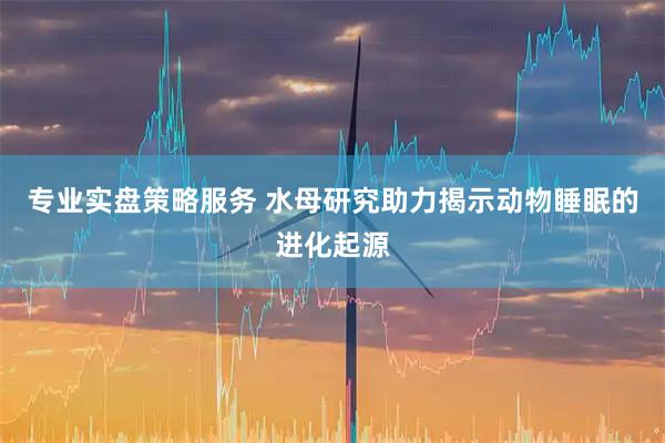 专业实盘策略服务 水母研究助力揭示动物睡眠的进化起源